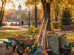 В Саратове проведут общегородской субботник